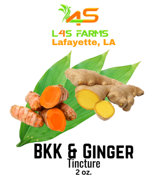 BKK Turmeric & Ginger Tincture – Alcohol-Based Herbal Extract (2 oz)