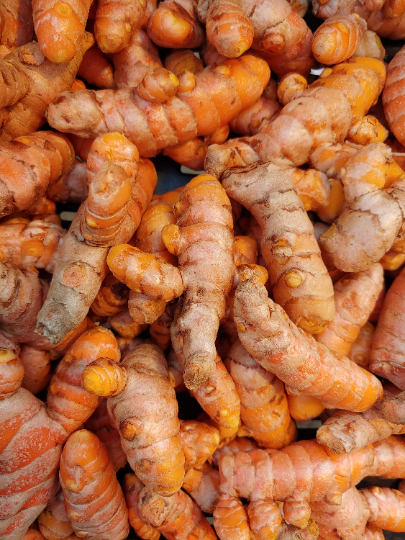 BKK Turmeric & Ginger Glycerite – Alcohol-Free | Small-Batch Crafted